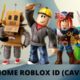 THIS IS HOME ROBLOX ID (CAVETOWN )