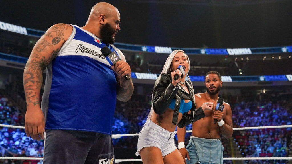 WWE Released B Fab